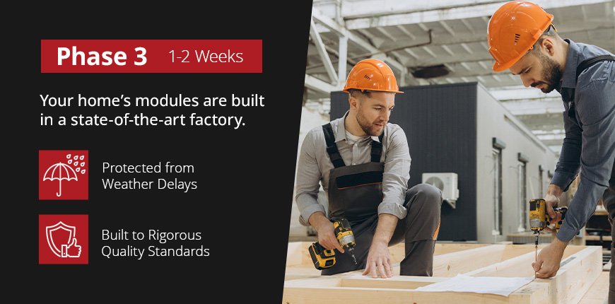 Phase 3: Factory Construction (1-2 Weeks)